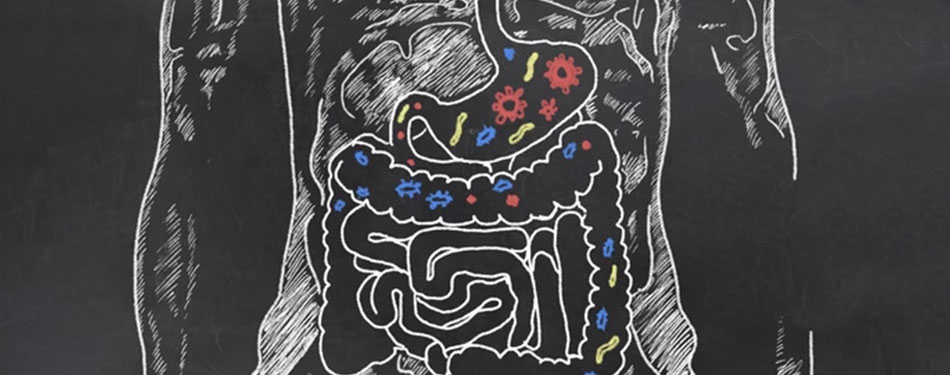 Colon Detoxification vs. Colonics